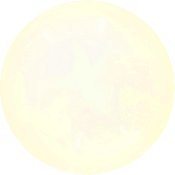 pp:b3c2c06948a5ff0193cb