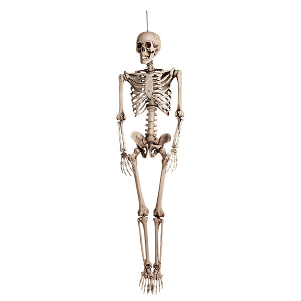 pp:3e3fec41225ae1be2487