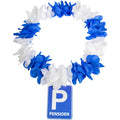 pp:e9c529fd7edc67a64456