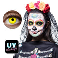 pp:3a34be490dee194b7751