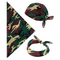 pp:fe1e771d3ecadb216bde