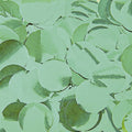 pp:c8651e26c1fb305a87fa