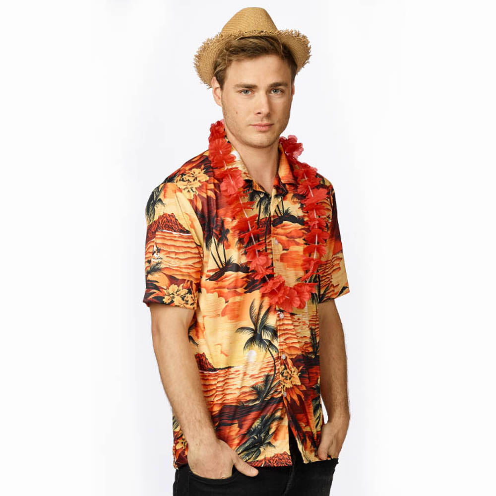pp:13d84d78d9ee7d41ee28