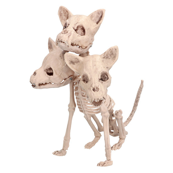 pp:dac2d97541f13d2ca1c6