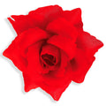 pp:d1a86b34a4820f623cd9