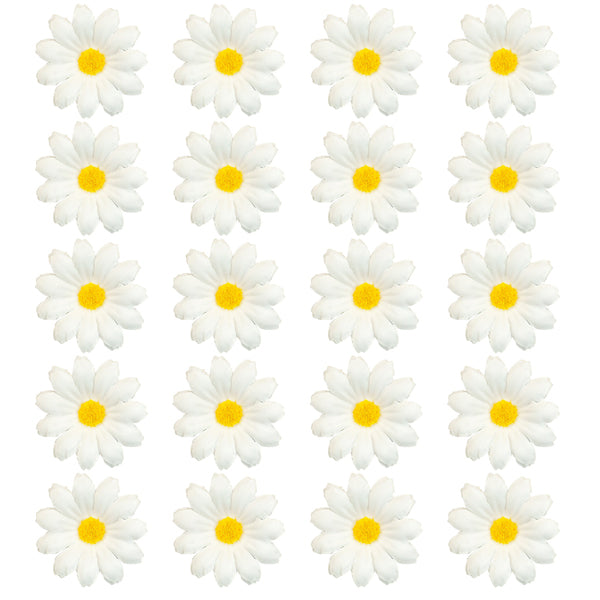 pp:411e9c5b79d5d0fa25fc