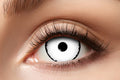 pp:0ef706fa194bafba2f78