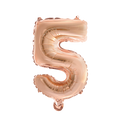 pp:dc45394ea010626e6d02