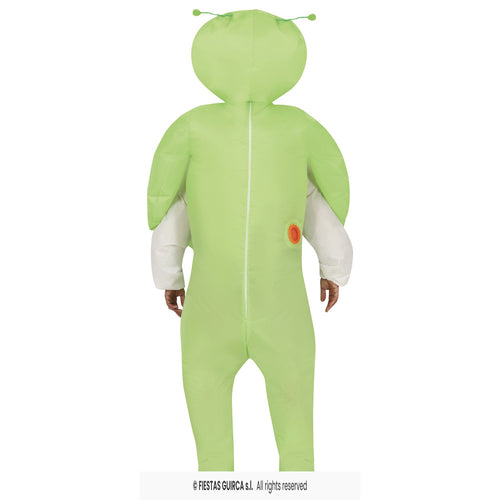 Alien Ontvoering Opblaasbaar Volwassene Kostuum (one size)