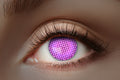 pp:98dce73f1f2e71cb7f9d