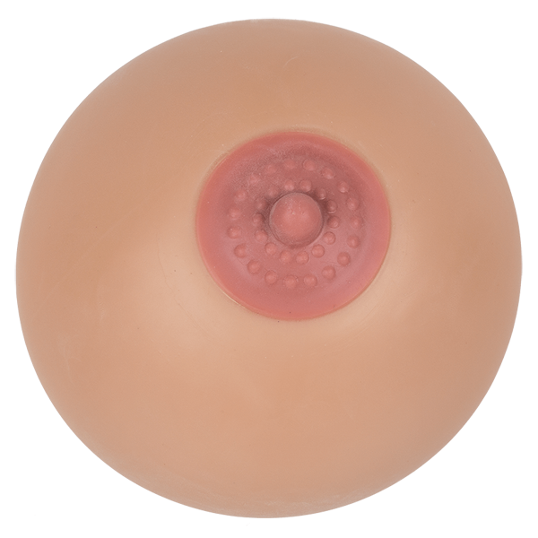 pp:b7771eae5e2eebbde8c2