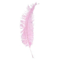 pp:d5a99eb013a28eadf7ea