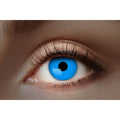 pp:ff6a39280e03c4a763d2