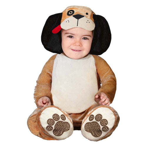 Baby Hond Puppy