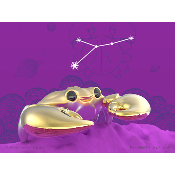 pp:d343c8ea2074e4321e7f