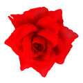 pp:e956387b599fb15b2a80