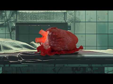 Halloween Decoration Animatronic Prop: Beating Bloody Heart (21cm)